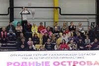 Открытый турнир по эстетической гимнастике прошел в Южно-Сахалинске, Фото: 14