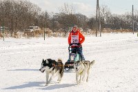 В гонках на собачьих упряжках приняли участие 22 команды со всего Сахалина, Фото: 8