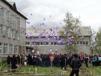 сирень, Фото: 7