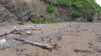 Семья из Южно-Сахалинска убрала мусор за отдыхающими на пляже в Пригородном , Фото: 10