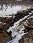 Разлив нефти не ликвидируют на севере Сахалина несколько месяцев , Фото: 9