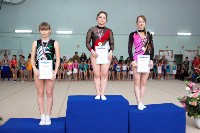 В Южно-Сахалинске состоялись соревнования по спортивной гимнастике, Фото: 21