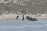 Сахалинцев просят помочь найти людей, издевавшихся над тюленями, Фото: 8