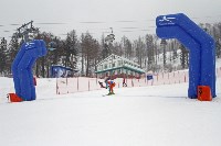 Борьба за кубки области и федерации горнолыжного спорта и сноуборда , Фото: 11