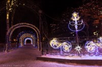 Новогодняя сказка в Южно-Сахалинске, Фото: 17