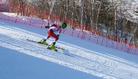 Чемпионаты по горнолыжному спорту и сноуборду среди параспортсменов , Фото: 9