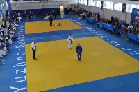 Чемпионат и кубок Сахалинской области по дзюдо прошли в Южно-Сахалинске, Фото: 15