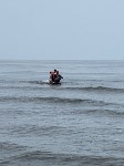 На Сахалине пожарные спасли оказавшегося на суше дельфина, Фото: 2