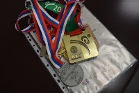 Сахалинец стал обладателем бронзовой медали Кубка Мира по тхэквондо МФТ, Фото: 6