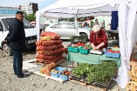 Больше сотни производителей выстроились на ярмарке в Южно-Сахалинске, Фото: 2