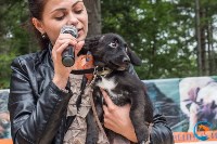 В рамках выставки беспородных собак в Южно-Сахалинске 8 питомцев обрели хозяев, Фото: 153
