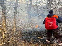 Пожар у села Дубовое тушили 111 человек, Фото: 2