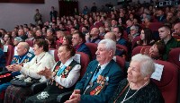 Концерт в честь Дня защитника Отечества прошел в Южно-Сахалинске, Фото: 14