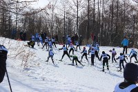 Около 300 сахалинских лыжников стартовали в гонках на призы В.П. Комышева, Фото: 13