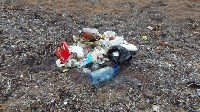 Семья из Южно-Сахалинска убрала мусор за отдыхающими на пляже в Пригородном , Фото: 6