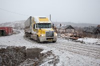 Около сотни благородных оленей доставили на Сахалин, Фото: 42