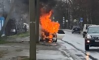Toyota Corolla загорелась в Троицком, Фото: 1