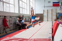 В Южно-Сахалинске состоялись соревнования по спортивной гимнастике, Фото: 1
