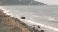 В вылетевшем в море автомобиле на юге Сахалина погиб мужчина, Фото: 3