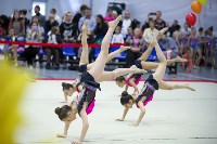 Турнир по эстетической гимнастике прошел на Сахалине, Фото: 9