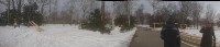 Краснокнижные тисы в городском парке Южно-Сахалинска оказались под угрозой, Фото: 8