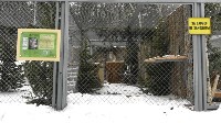 В сахалинском зоопарке нашли применение нераспроданным новогодним ёлкам, Фото: 3