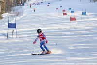 Около 200 юных сахалинских горнолыжников соревновались на горе Парковой, Фото: 15