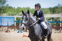 Соревнования по адаптивному конному спорту в Троицком - 2017, Фото: 26