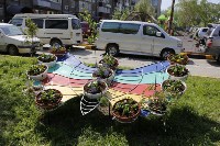 Южносахалинцы пожаловались городским властям на некачественные бордюры, Фото: 6