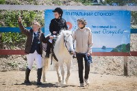Соревнования по адаптивному конному спорту в Троицком - 2017, Фото: 4