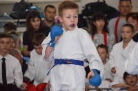 Три сотни юных каратистов сразились за медали турнира в Южно-Сахалинске, Фото: 9