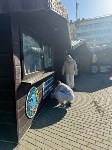 На ярмарке, набережной, в скверах и парке Корсакова уничтожают крыс, Фото: 4