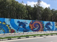 Художники разрисовали стену на улице Горького в Южно-Сахалинске, Фото: 4