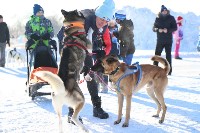 Сотня сахалинцев устроила лыжный забег в рамках «Декады спорта-2021», Фото: 32