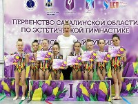 Юные сахалинские гимнастки определили сильнейших на региональных первенстве и турнире, Фото: 8