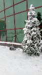 Первый в этом году снежный циклон пришел на юг Сахалина, Фото: 9