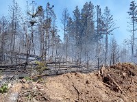 Пожар в Корсаковском районе локализован, Фото: 4