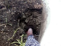 Южносахалинцы боятся, что на прогулке дети провалятся в ямы во дворе, Фото: 2