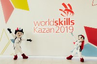 Сахалинцы завоевали две бронзы на WorldSkills Russia в Казани, Фото: 5