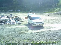 Фотоловушки установили в сахалинских лесах, чтобы ловить мусорщиков, Фото: 3