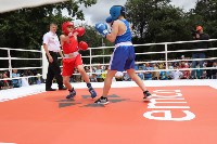 На Сахалине отметили международный день бокса, Фото: 43