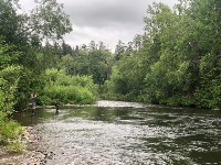 Экологи бьют тревогу: реки на северо-востоке Сахалина пусты, горбуши нет, Фото: 7
