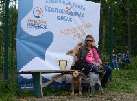 В рамках выставки беспородных собак в Южно-Сахалинске 8 питомцев обрели хозяев, Фото: 160