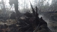 В Корсаковском районе горит трава, Фото: 4