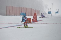 Официальный горнолыжный сезон на Сахалине закрыт, Фото: 1