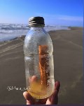 Послание в бутылке, которое путешествовало 25 лет, нашла сахалинка, Фото: 2