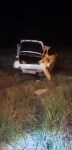 Неизвестный автомобилист вытолкнул Kia Optima c дороги и скрылся с места ДТП в Южно-Сахалинске, Фото: 2
