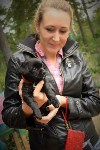 В рамках выставки беспородных собак в Южно-Сахалинске 8 питомцев обрели хозяев, Фото: 65