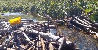 На Курилах рыба не может зайти на нерест в реки из-за забитых хламом устьев, Фото: 4