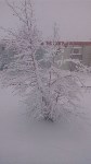На севере Сахалина выпал майский снег, Фото: 5